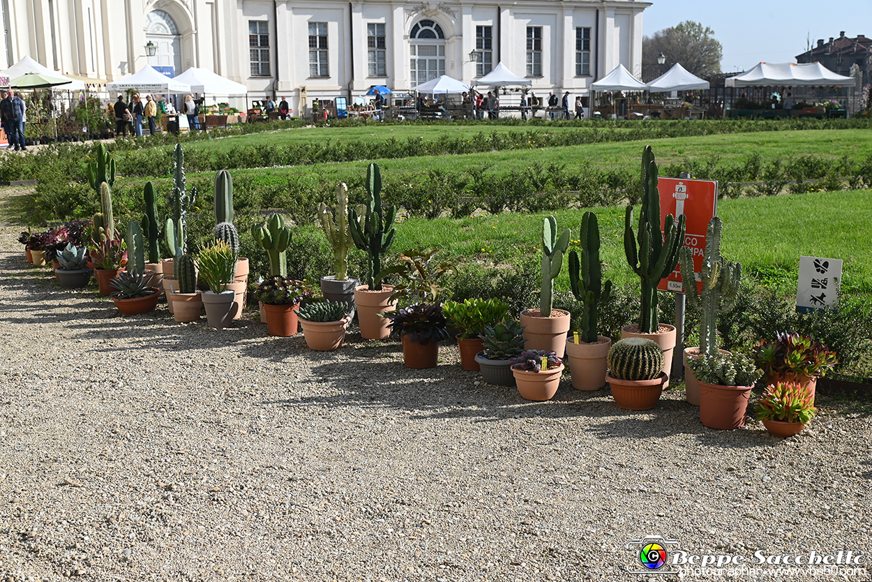 VBS_0832 - Anteprima FloReal 2025.jpg